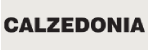 Calzedonia France