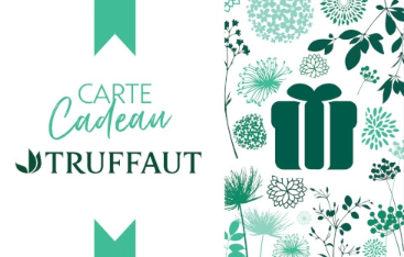 Truffaut France — Truffaut
